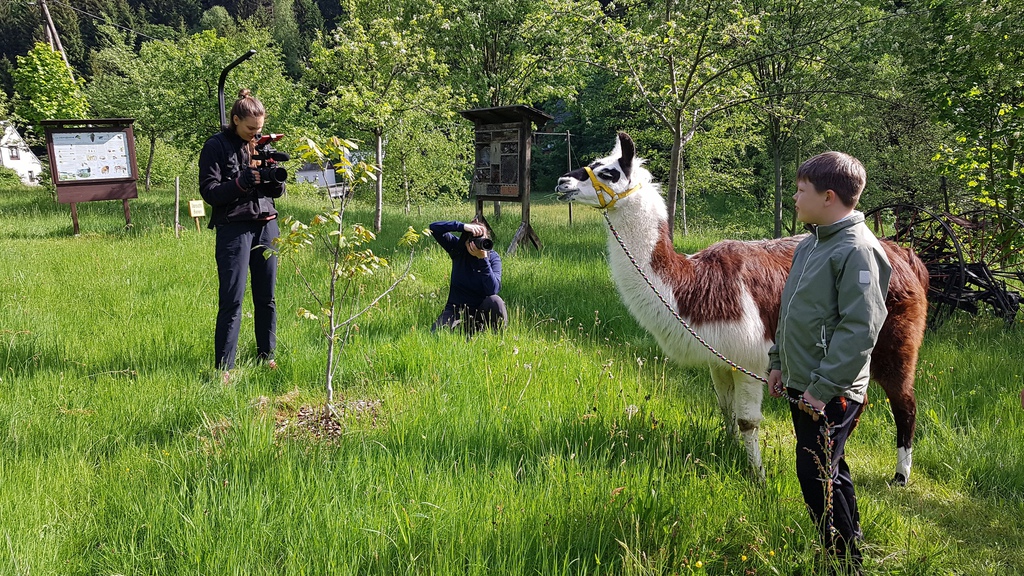 Lama- Wanderungen im Schwarzwassertal