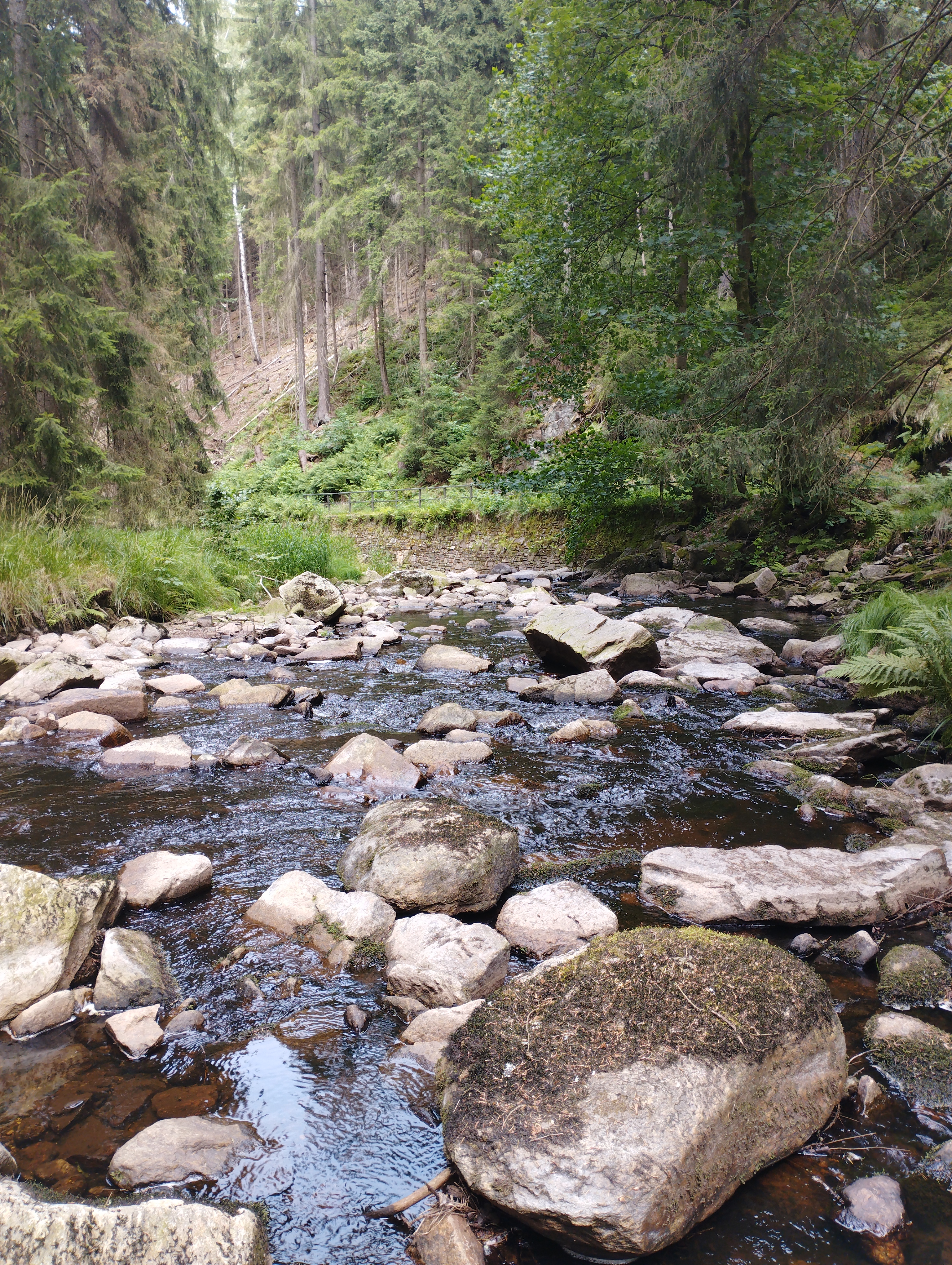 Schwarzwassertal
